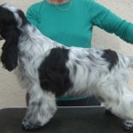 Now 5 months old