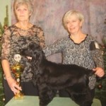 My best puppy , a real super star.