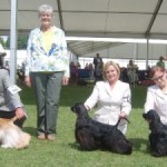 My Top award winners at Windsor CH.SH.