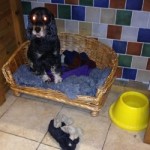 My lovely old lady Candy with devil eyes**