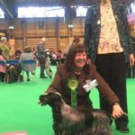 The lovely blue roan Best of Breed