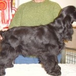 Developing nicely at 16 weeks
