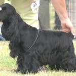 13 months old