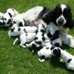His mother and siblings!