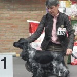 Great dog