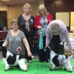 Best Puppy in Show , Scottish Cocker championship show
