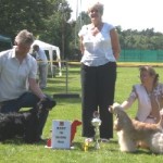 BOB in both breeds
