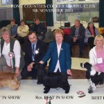 Best In Show at Home counties cocker club
