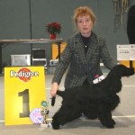 My fabulous Best Puppy