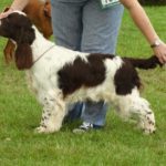 Great youngster, my Best Puppy.