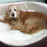 A lovely old lady..
