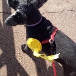 Ok !! I am listening ..the lovely Doodle..
