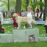 My Group Winners