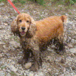 Simon in the mud