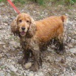 Simon In Mud