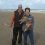 Teddy on holiday rehomed_small