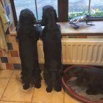 Where are you mummy?