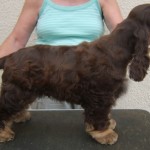 Wooster age 14 weeks