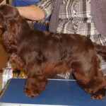 The beautiful Carla..