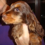 Hayley's daughter at 12 weeks