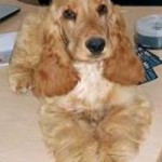 His first daughter Dorothy