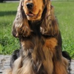 Name changed to Logan, he likes it better.