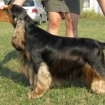 Winning at every show !