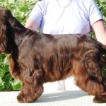 Beautiful Ruth developing nicely