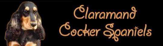 Claramand Cocker Spaniels